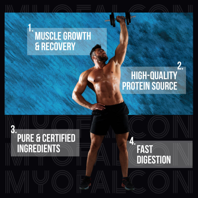 Myofalcon Nutrition Whey Protein Concentrate