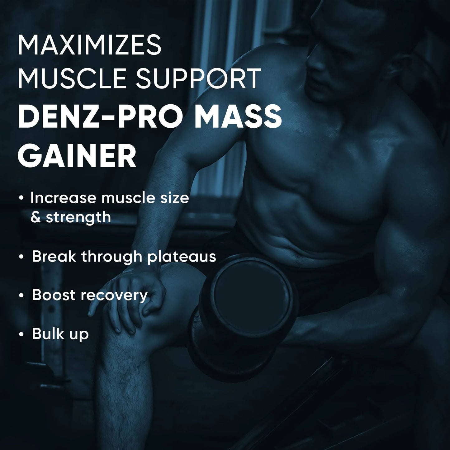 Denzour Nutrition Denz-Pro Mass Gainer