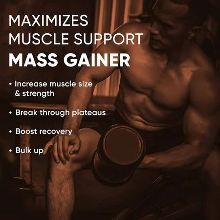 Denzour Nutrition Ultra Mass Gainer