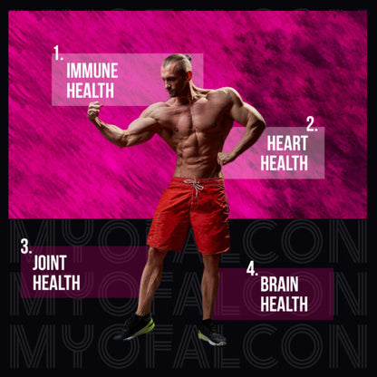 Myofalcon Nutrition Omega 3 Fish Oil