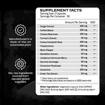 Absolute Nutrition Shredder Fat Burner – 60 Veg Capsules